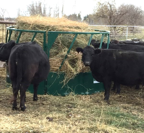 Cattle Feeder | Lakeland Heavy Duty Round Bale Feeder-Slant Bar
