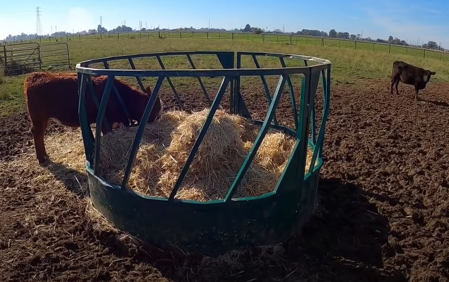 Cattle Feeder | Lakeland Heavy Duty Round Bale Feeder-Slant Bar