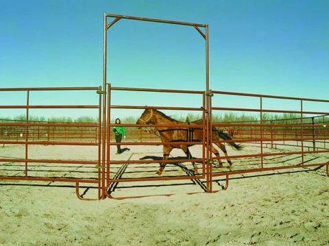 Round Pen 40' | HiQual