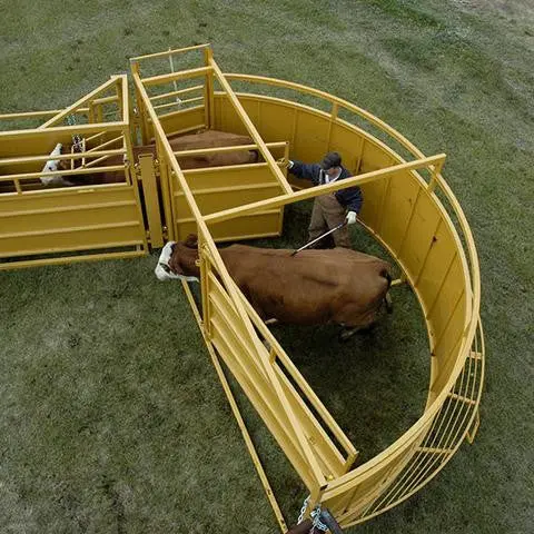 Cattle Crowding Tub | Sioux Steel