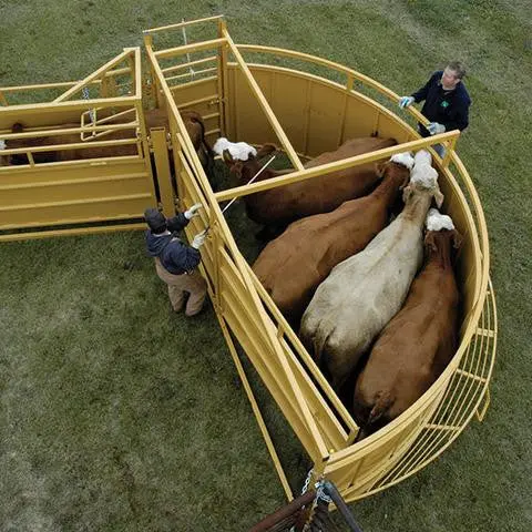 Cattle Crowding Tub | Sioux Steel