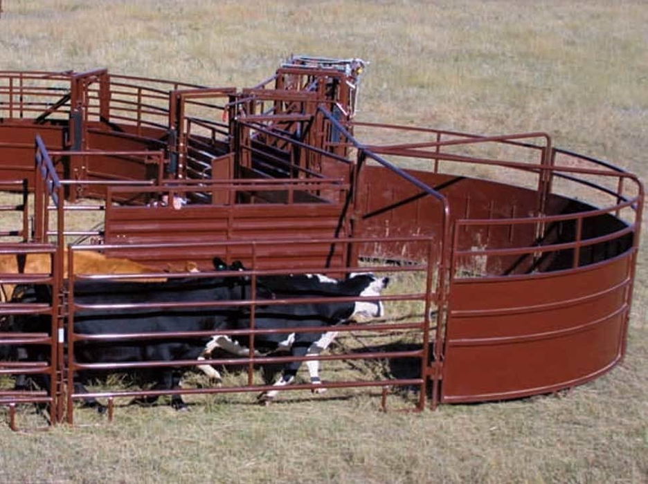 Cattle Sweep Tub | HiQual