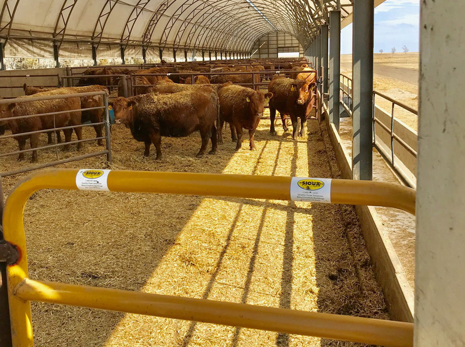 Livestock Gate Victory 2.0" | Sioux Steel