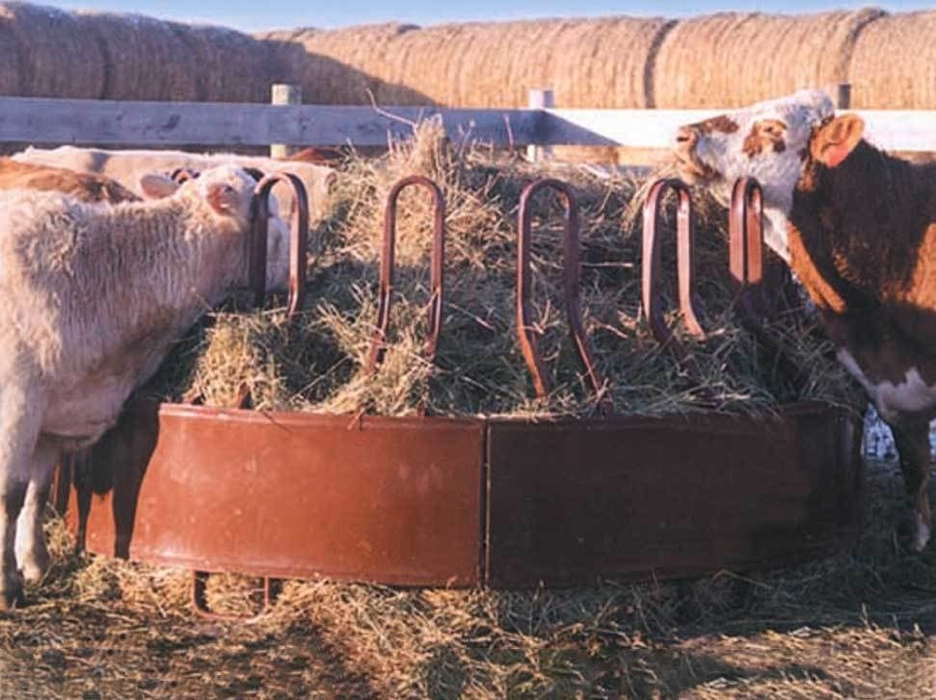 Horse Feeder | HiQual Tombstone Saver