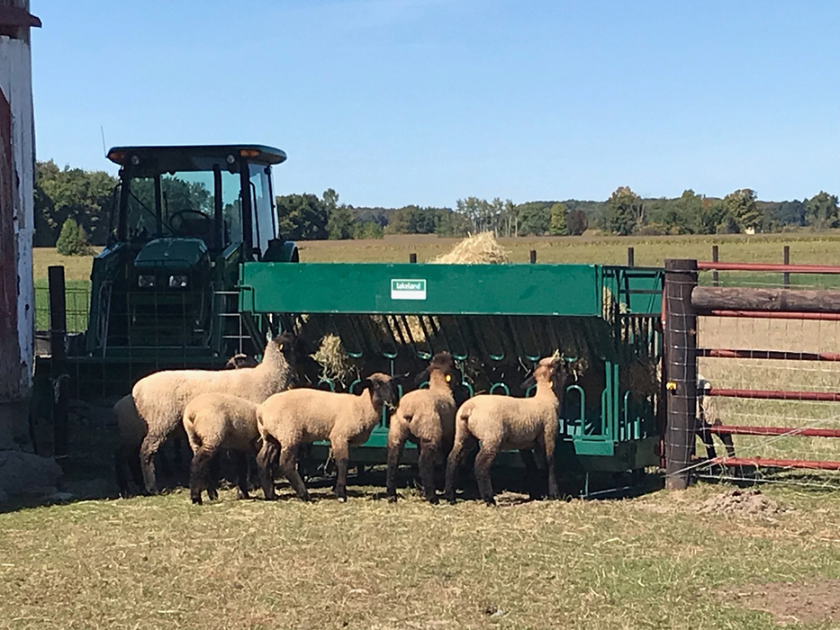 Sheep Feeder | Lakeland Round & Square Bale Feeder