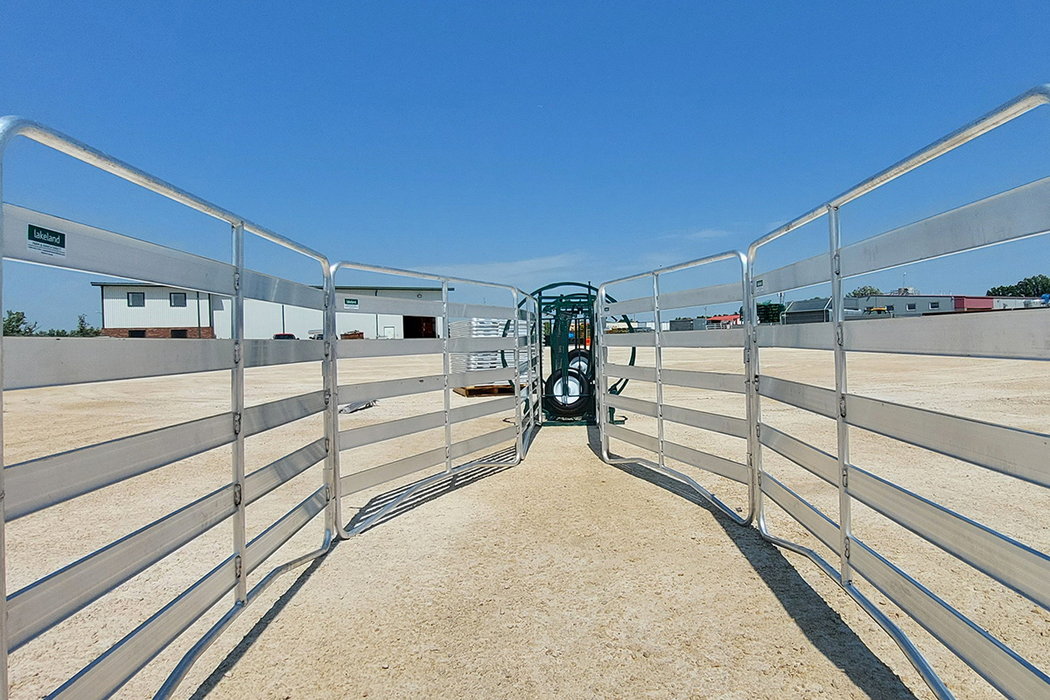 Sheep and Goat Handling System | Lakeland SG50