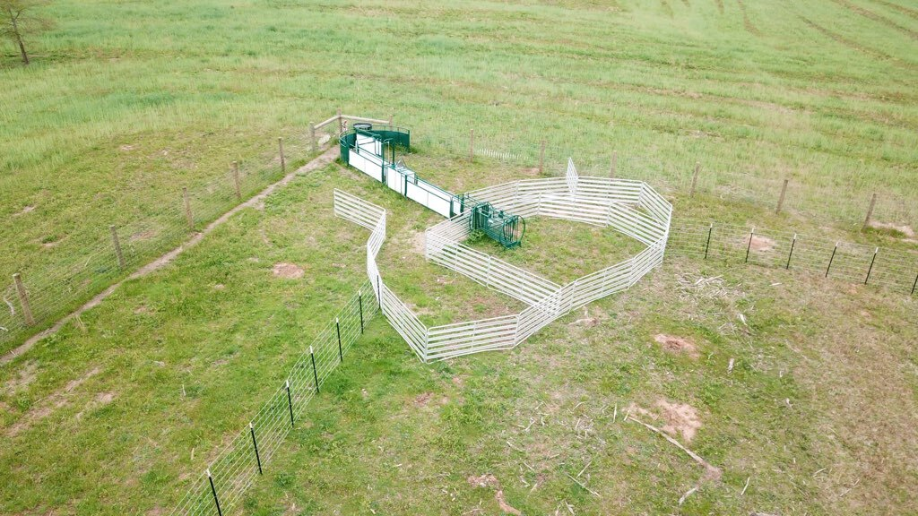 Sheep and Goat Handling System | Lakeland SG300