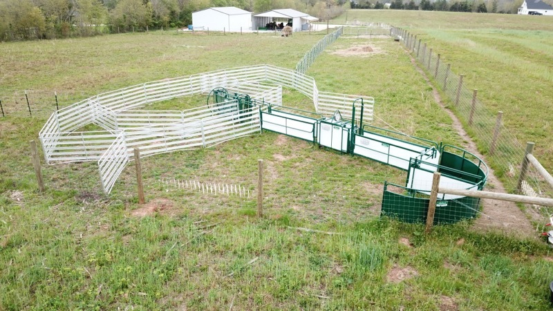 Sheep and Goat Handling System | Lakeland SG300