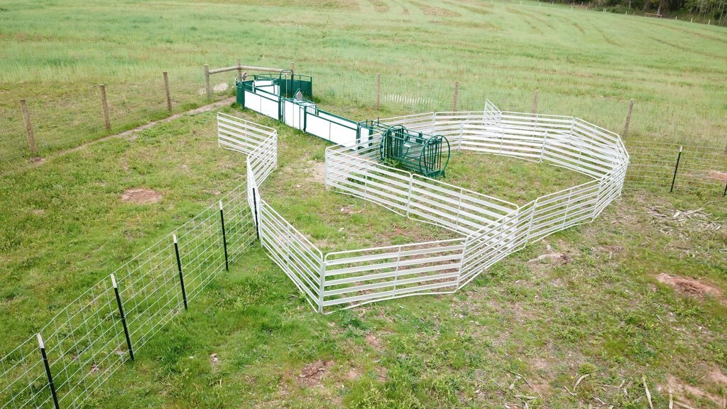 Sheep and Goat Handling System | Lakeland SG300