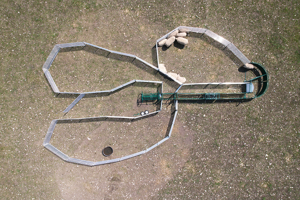 Sheep and Goat Handling System | Lakeland SG400