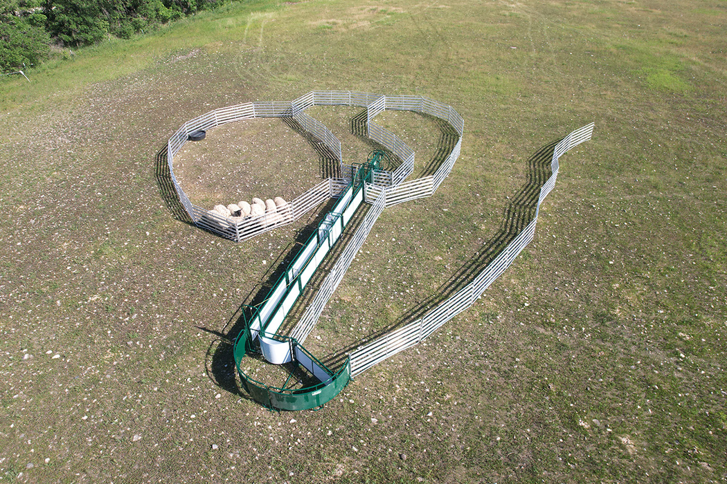 Sheep & Goat Handling System | Lakeland SG500