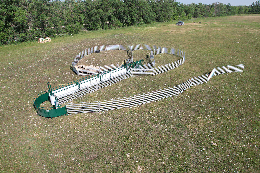Sheep & Goat Handling System | Lakeland SG500