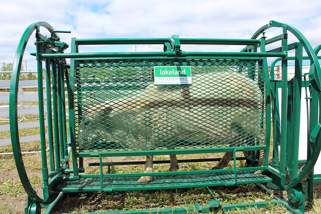 Sheep and Goat Chute | Lakeland Deluxe Spin Trim Chute