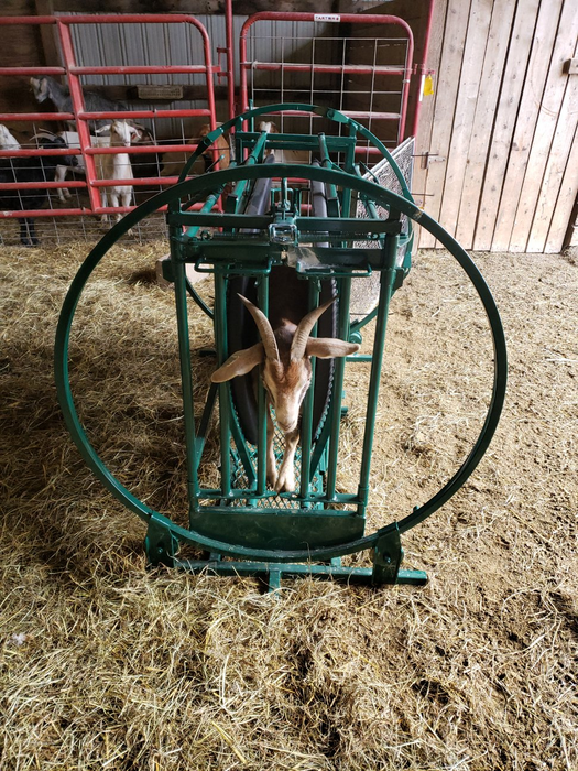 Sheep and Goat Chute | Lakeland Deluxe Spin Trim Chute