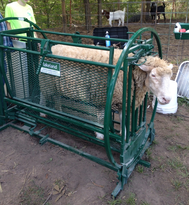 Sheep and Goat Chute | Lakeland Deluxe Spin Trim Chute