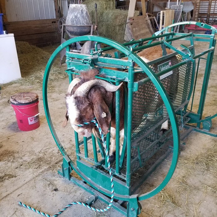 Sheep and Goat Chute | Lakeland Deluxe Spin Trim Chute
