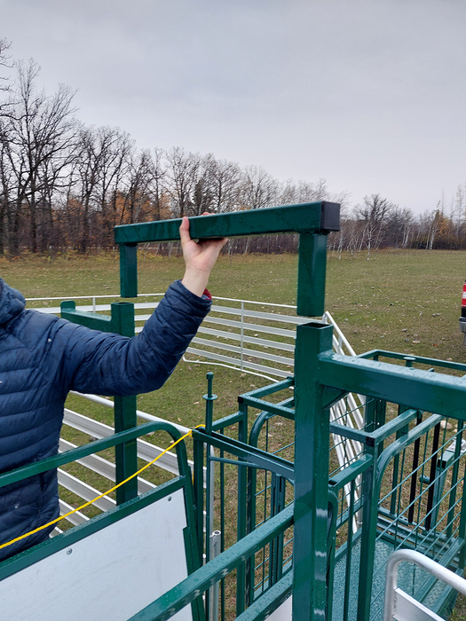 Sheep and Goat Handling System | Lakeland Portable Easy Handler