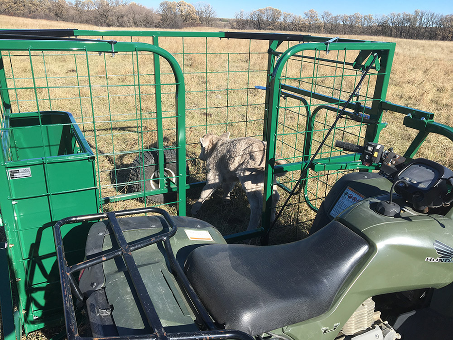 Calf Catcher for ATV | Lakeland