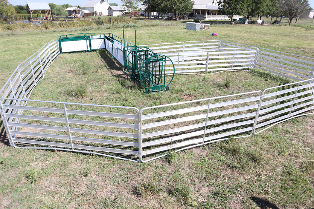Sheep and Goat Handling System | Lakeland Deluxe Shepherdess Package