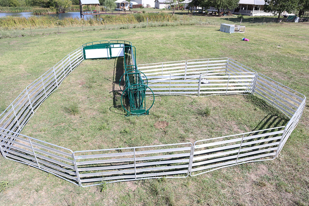Sheep and Goat Handling System | Lakeland Deluxe Shepherdess Package