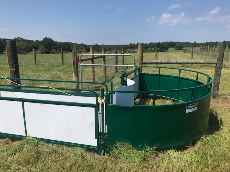 Sheep and Goat Handling System | Lakeland Deluxe Shepherdess Package