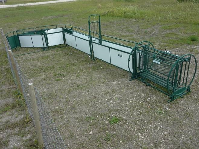 Sheep and Goat Handling System | Lakeland Deluxe Shepherdess Package