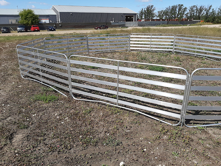 Sheep and Goat Handling System | Lakeland Deluxe Shepherdess Package