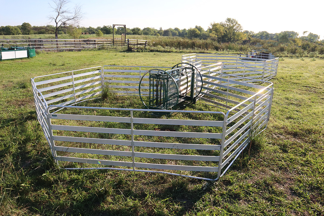 Sheep and Goat Handling System | Lakeland Starter Shepherdess Package