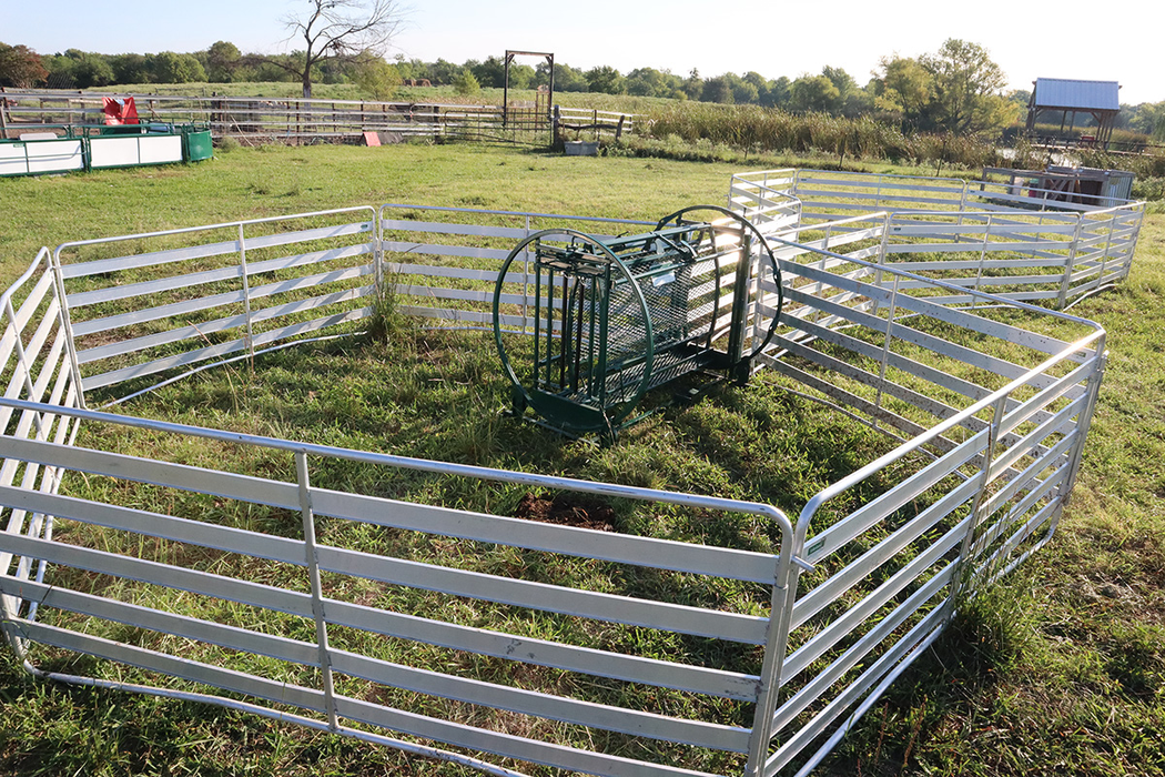 Sheep and Goat Handling System | Lakeland Starter Shepherdess Package