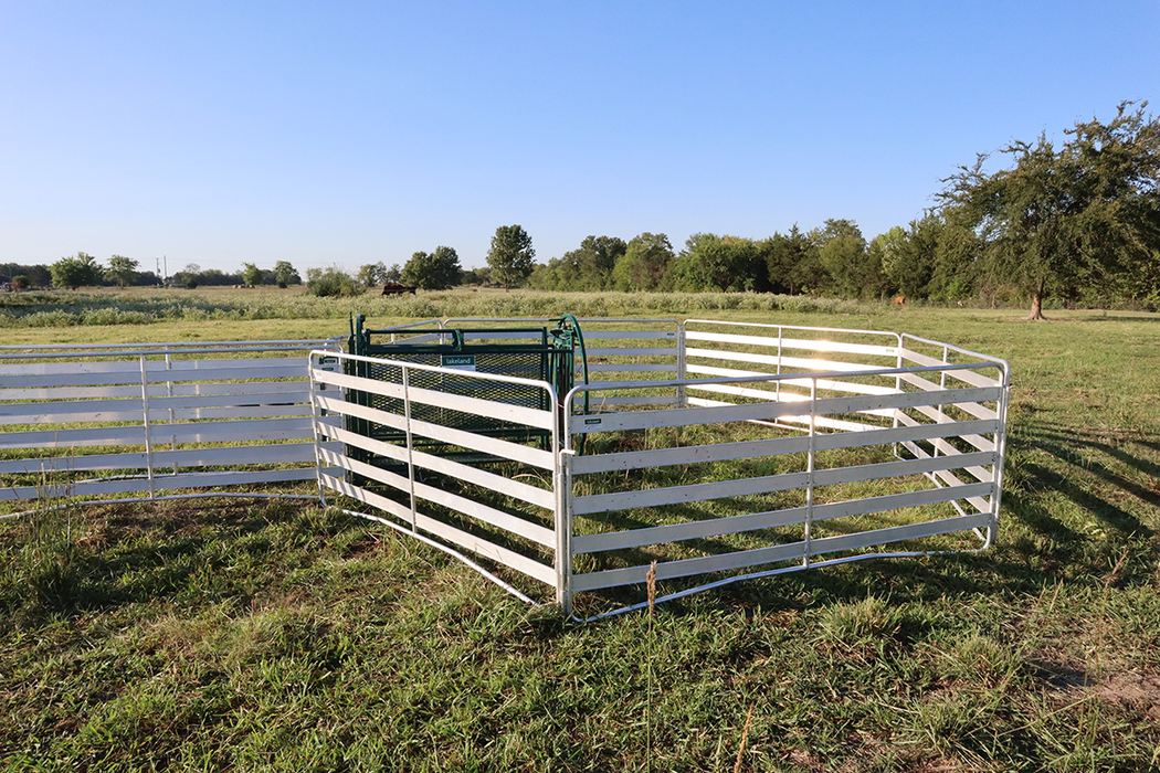 Sheep and Goat Handling System | Lakeland Starter Shepherdess Package
