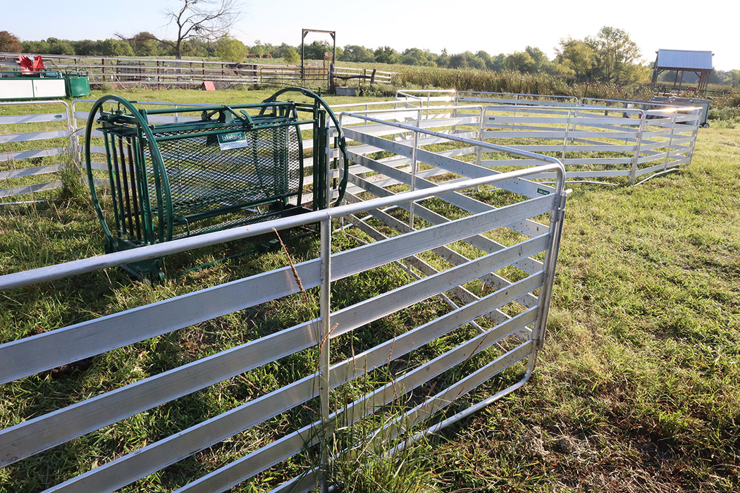 Sheep and Goat Handling System | Lakeland Starter Shepherdess Package