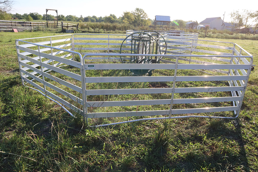 Sheep and Goat Handling System | Lakeland Starter Shepherdess Package