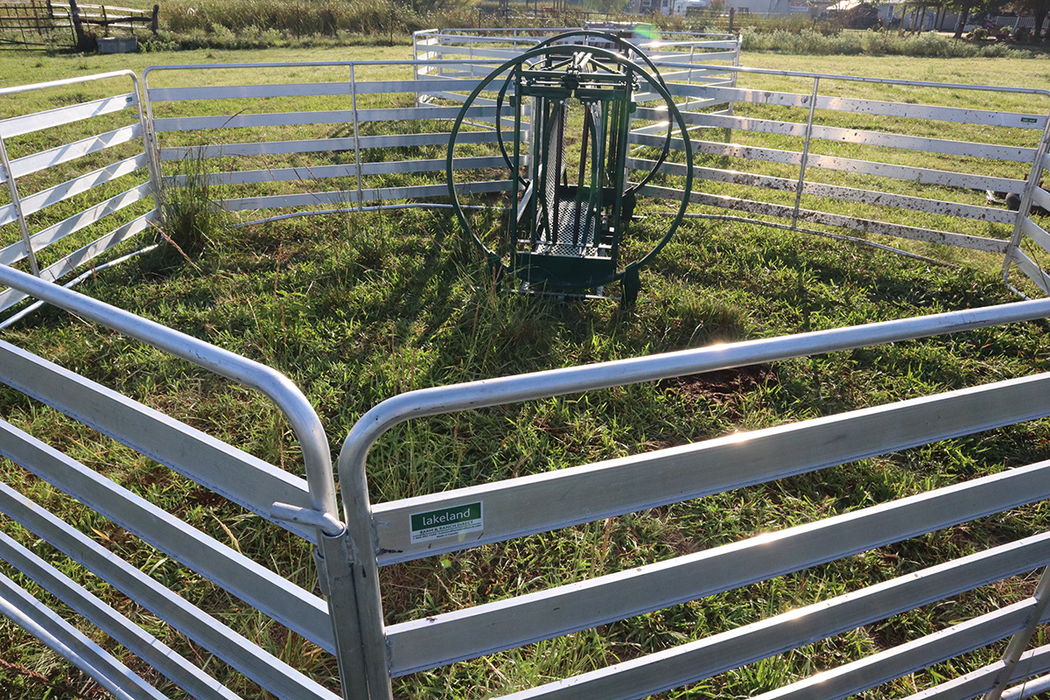 Sheep and Goat Handling System | Lakeland Starter Shepherdess Package