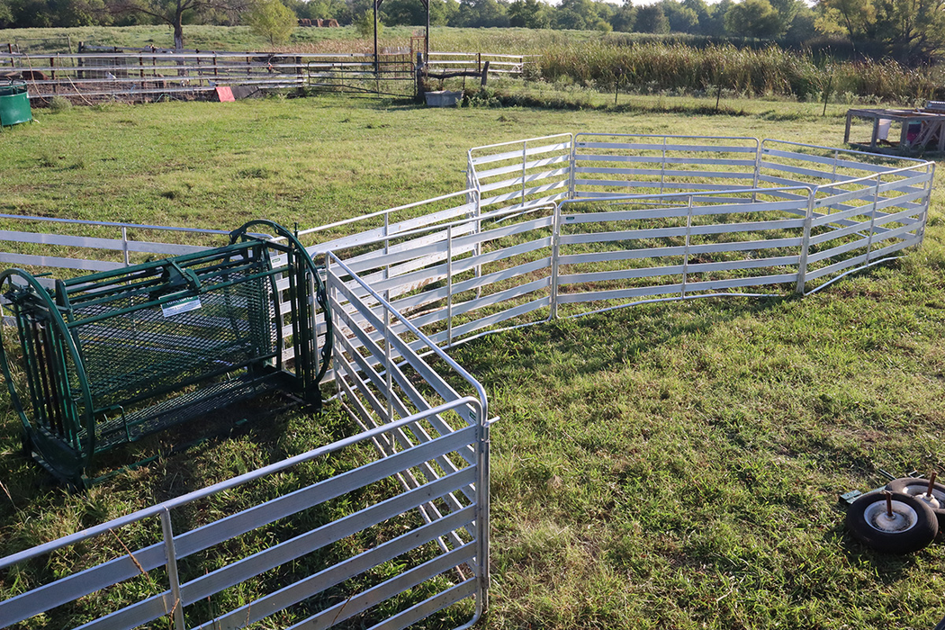 Sheep and Goat Handling System | Lakeland Starter Shepherdess Package