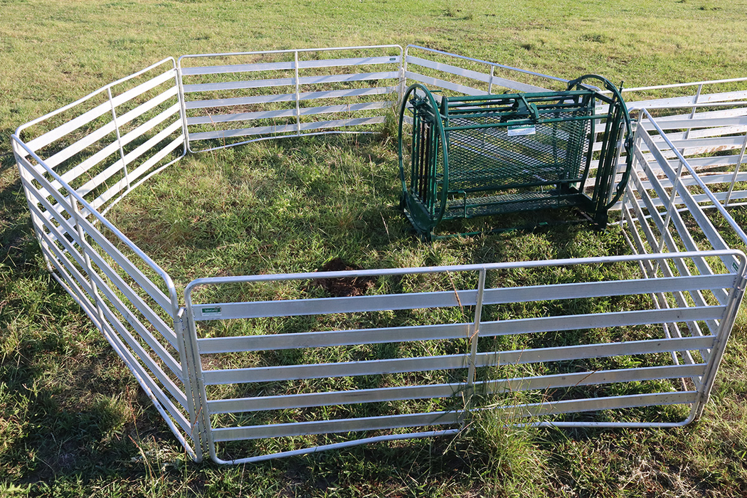 Sheep and Goat Handling System | Lakeland Starter Shepherdess Package