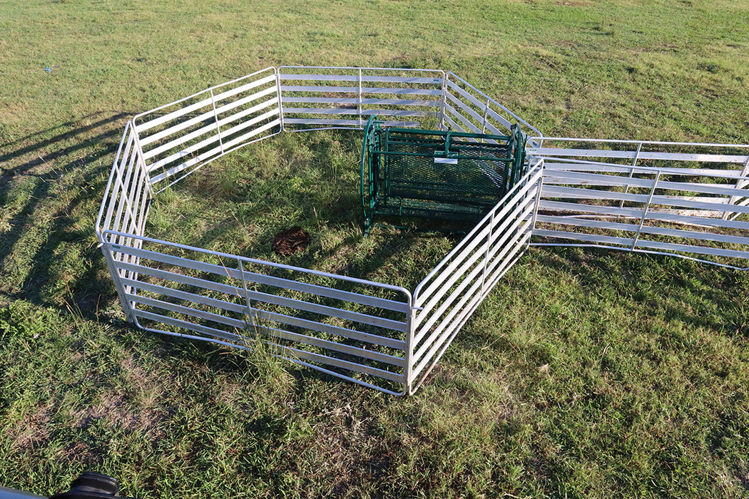 Sheep and Goat Handling System | Lakeland Starter Shepherdess Package