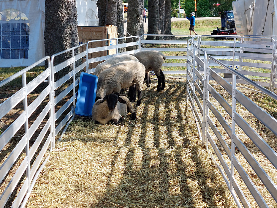 Sheep and Goat Panels | Lakeland Aluminium Easy Panels