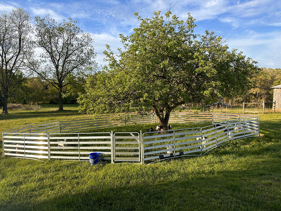 Sheep and Goat Panels | Lakeland Aluminium Easy Panels