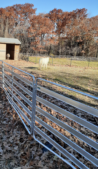 Sheep and Goat Panels | Lakeland Aluminium Easy Panels