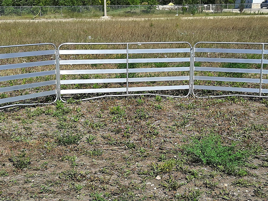 Sheep and Goat Panels | Lakeland Aluminium Easy Panels