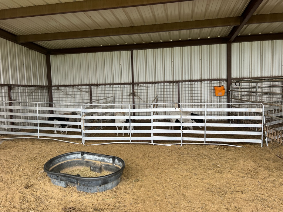 Sheep and Goat Panels | Lakeland Aluminium Easy Panels