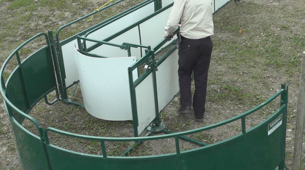 Working Chute and Crowding Tub | Lakeland