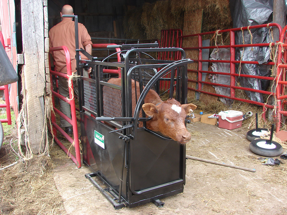 Calf Chute | Lakeland Large Portable Calf Chute