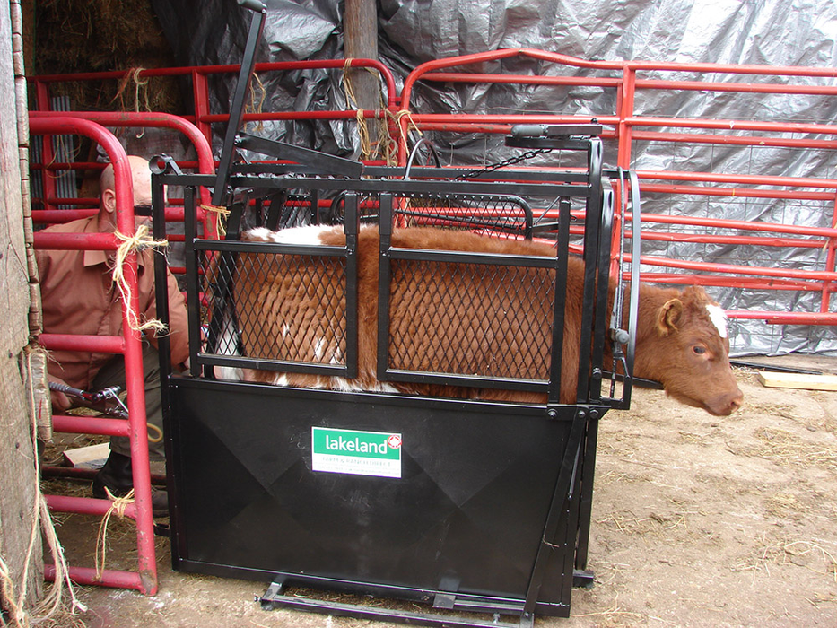 Calf Chute | Lakeland Large Portable Calf Chute