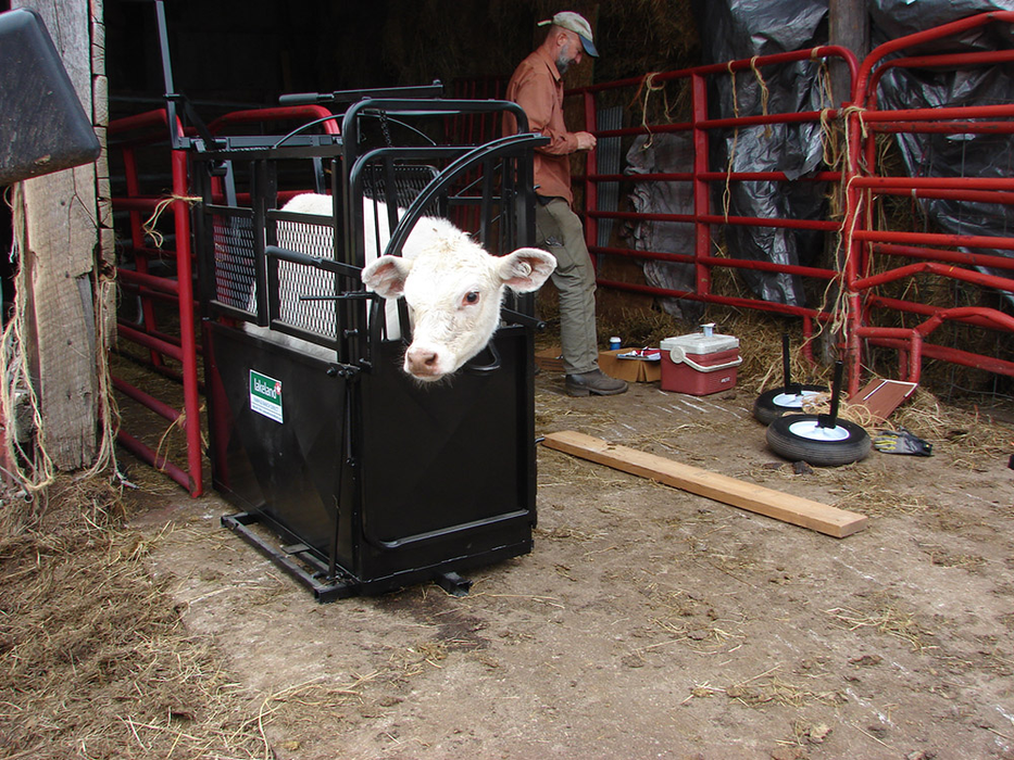 Calf Chute | Lakeland Large Portable Calf Chute