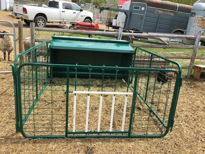 Lamb Creep Feeder | Lakeland