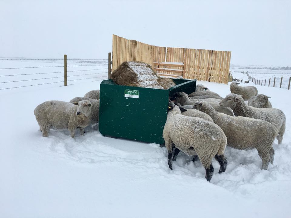 Goat Feeder | Lakeland Square Bale Hay and Grain Feeder