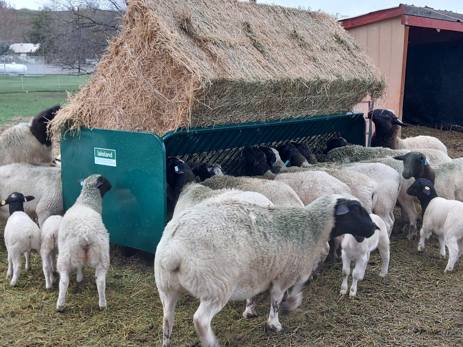 Goat Feeder | Lakeland Square Bale Hay and Grain Feeder