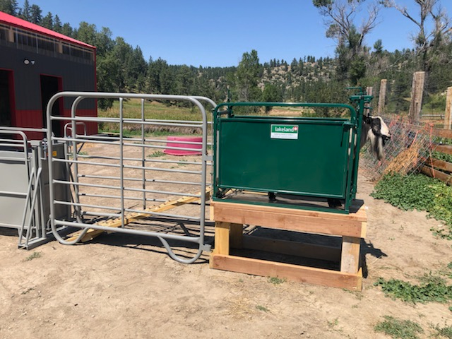Self Catch Headgate and Chute | Lakeland