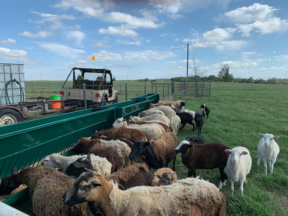 Goat Feeder | Lakeland Single-Sided Hay & Grain Feeder